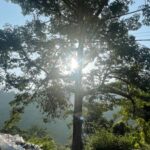 Prachee Shah Instagram - To Enter the field , Enter a Similar State … ☀️ ☀️ #energy #frequency #vibrations #mood #stateofmind #pracheeshahpaandya