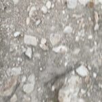 Preston Garcia Instagram - When you’re hiking and your friend almost steps on a Snake ✨☺️🐍