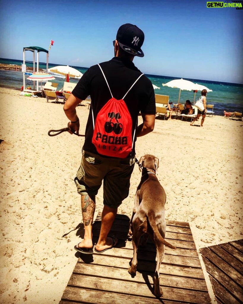 Primo Reggiani Instagram - Noi si va al mare ! #summervibes #doglife #sweethome #beach #puglia #photos #alwaystogether