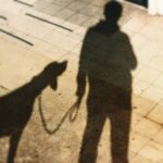 Primo Reggiani Instagram -
