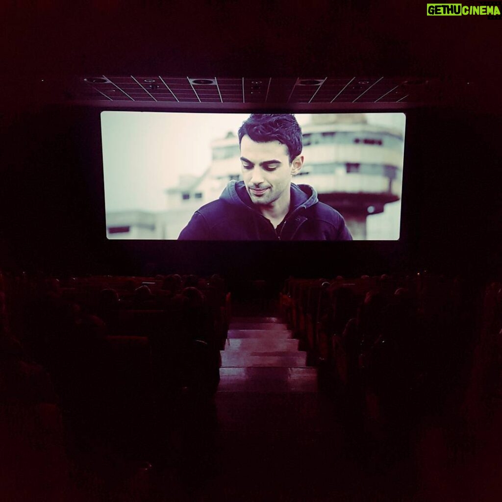 Primo Reggiani Instagram - #laragazzadeimieisogni #cinema #annatece #amore #movie