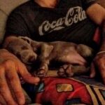 Primo Reggiani Instagram - Quando eravamo cuccioli.. #dogs #dogslife #amore #cocacola #boh
