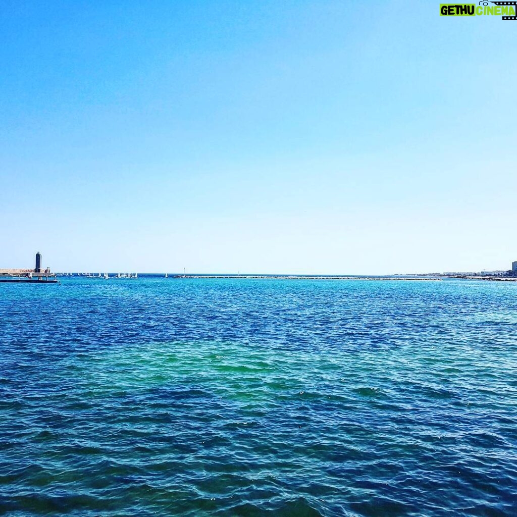 Primo Reggiani Instagram - #mare #bari #bif&st #sun #sea #landscape