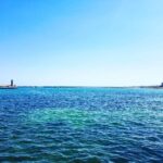 Primo Reggiani Instagram - #mare #bari #bif&st #sun #sea #landscape