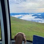 Primo Reggiani Instagram - Trentino-Alto Adige/Südtirol