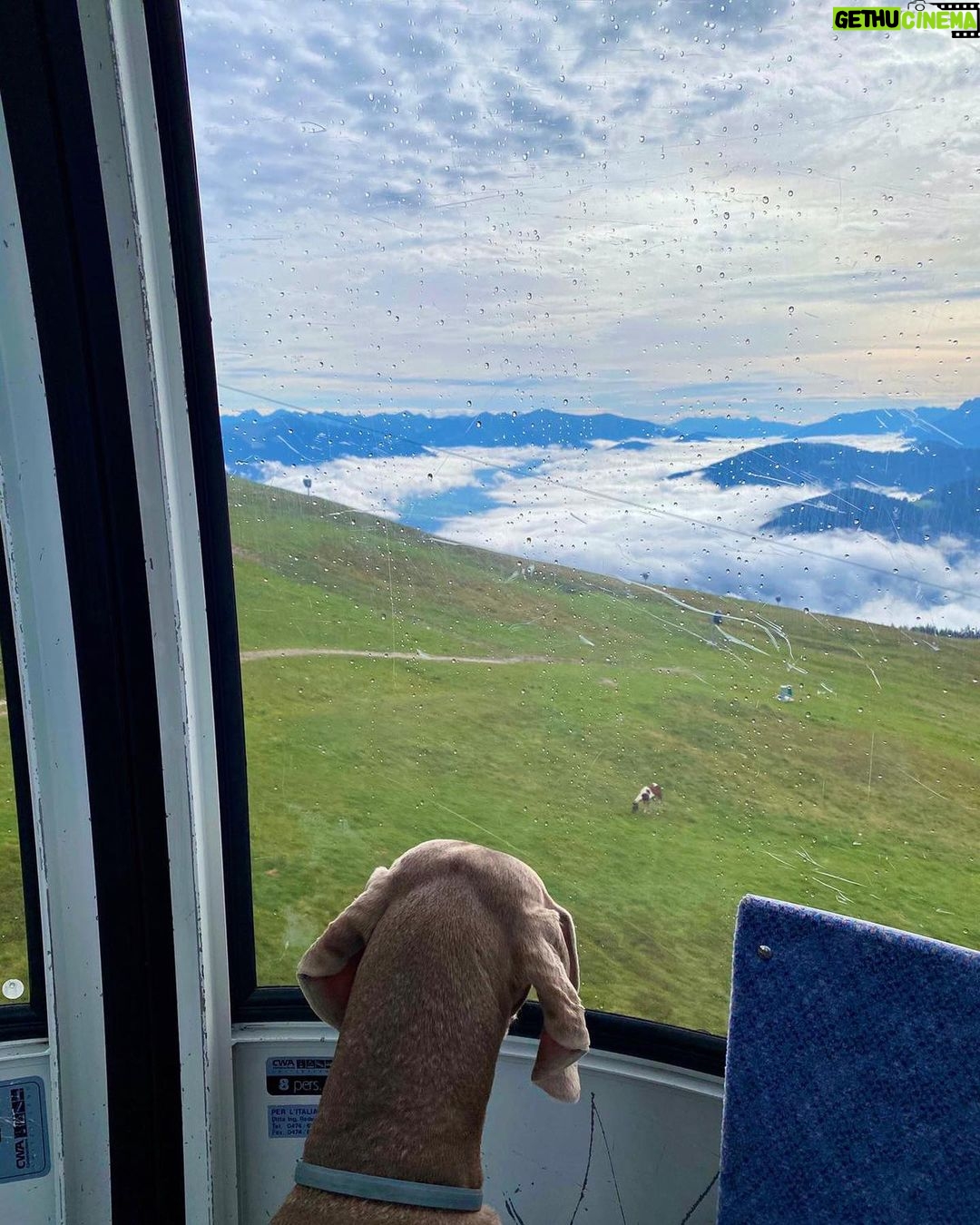 Primo Reggiani Instagram - Trentino-Alto Adige/Südtirol