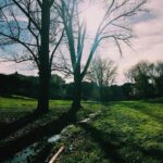 Primo Reggiani Instagram -