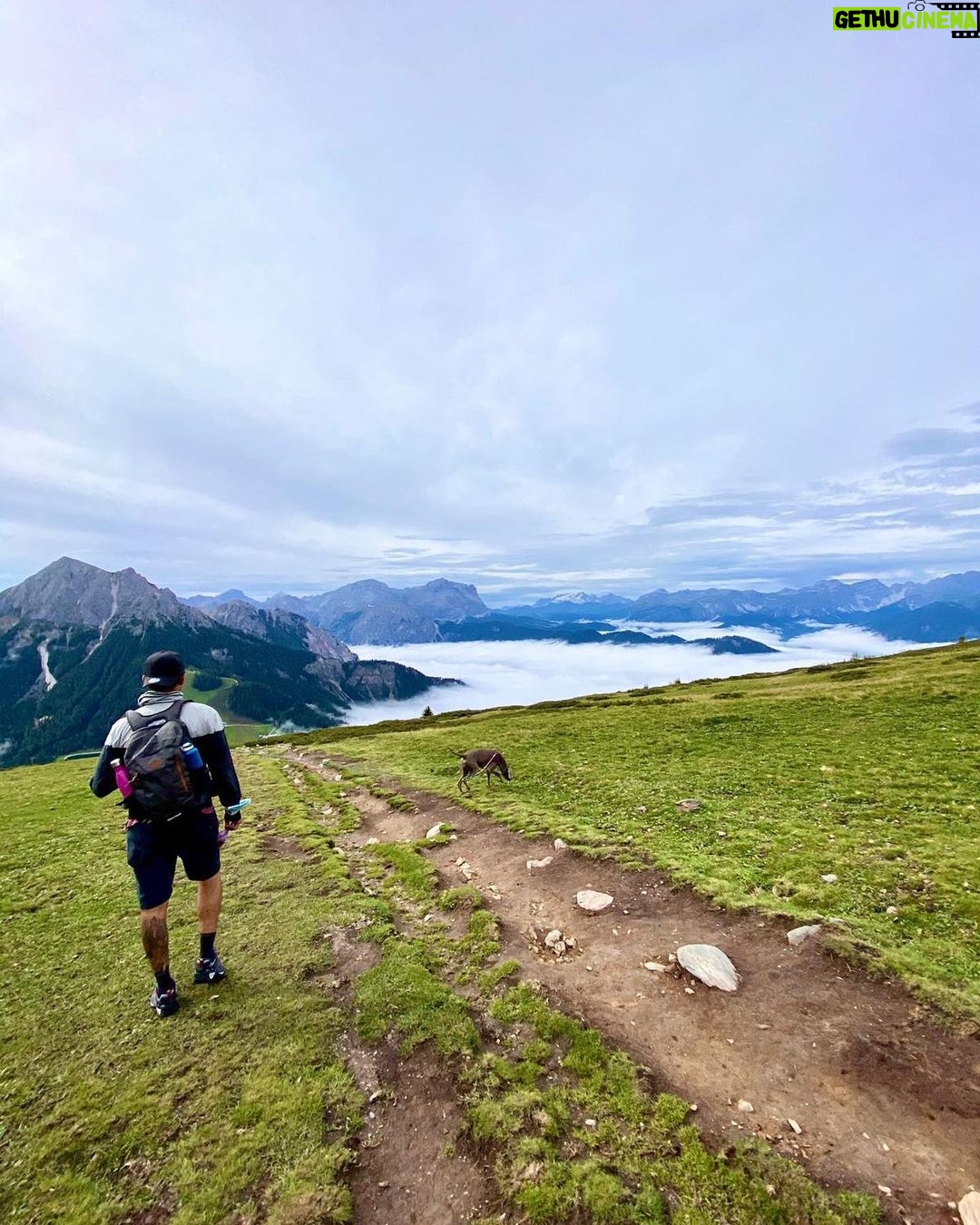 Primo Reggiani Instagram - Trentino-Alto Adige/Südtirol