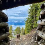 Primo Reggiani Instagram - Trentino-Alto Adige/Südtirol
