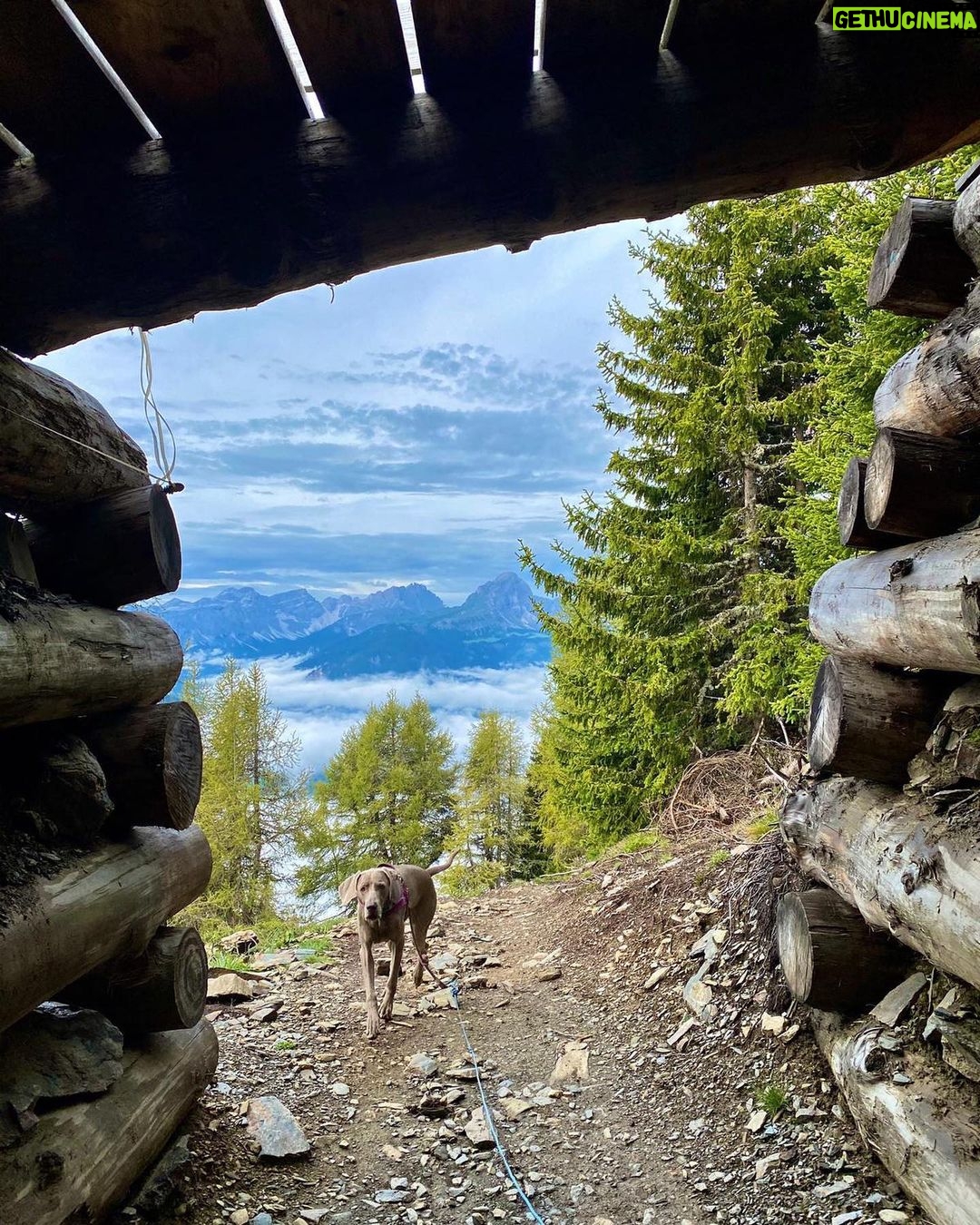 Primo Reggiani Instagram - Trentino-Alto Adige/Südtirol