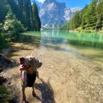 Primo Reggiani Instagram – ❤️

#lagodibraies #trentino #nofilter #mountains