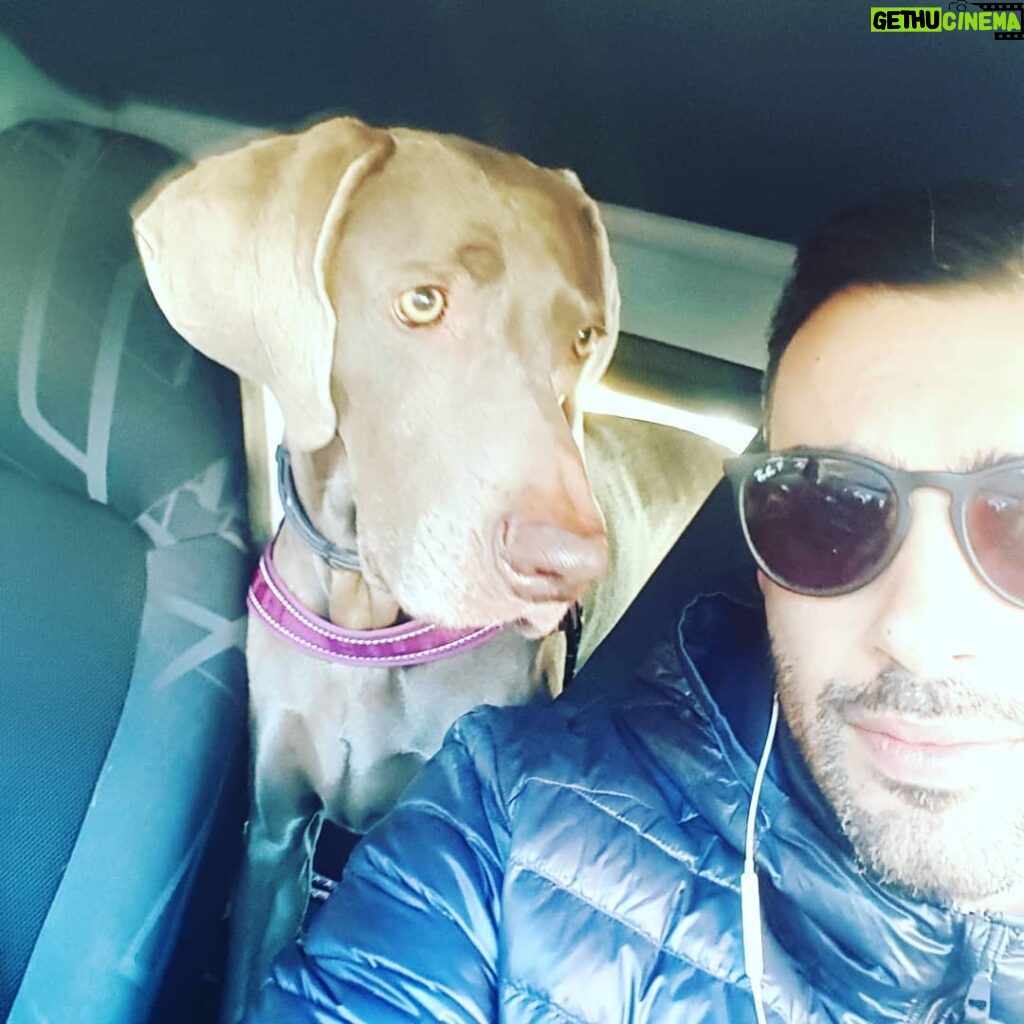 Primo Reggiani Instagram - Pronti per il parco 😎 #doglife #pictureoftheday #alwaystogether #freddo
