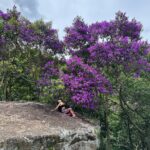 Priscila Buiar Instagram – Um dos lugares mais especiais que já conheci na vida 💖
A @pousada_paraiso faz jus ao nome e qualquer palavra que eu tente usar para definir essa experiência será pouco perto do que é realmente. Obrigada por me receber sempre tão bem. A conexão com a natureza é sempre nossa maior e melhor riqueza! Pousada Paraíso