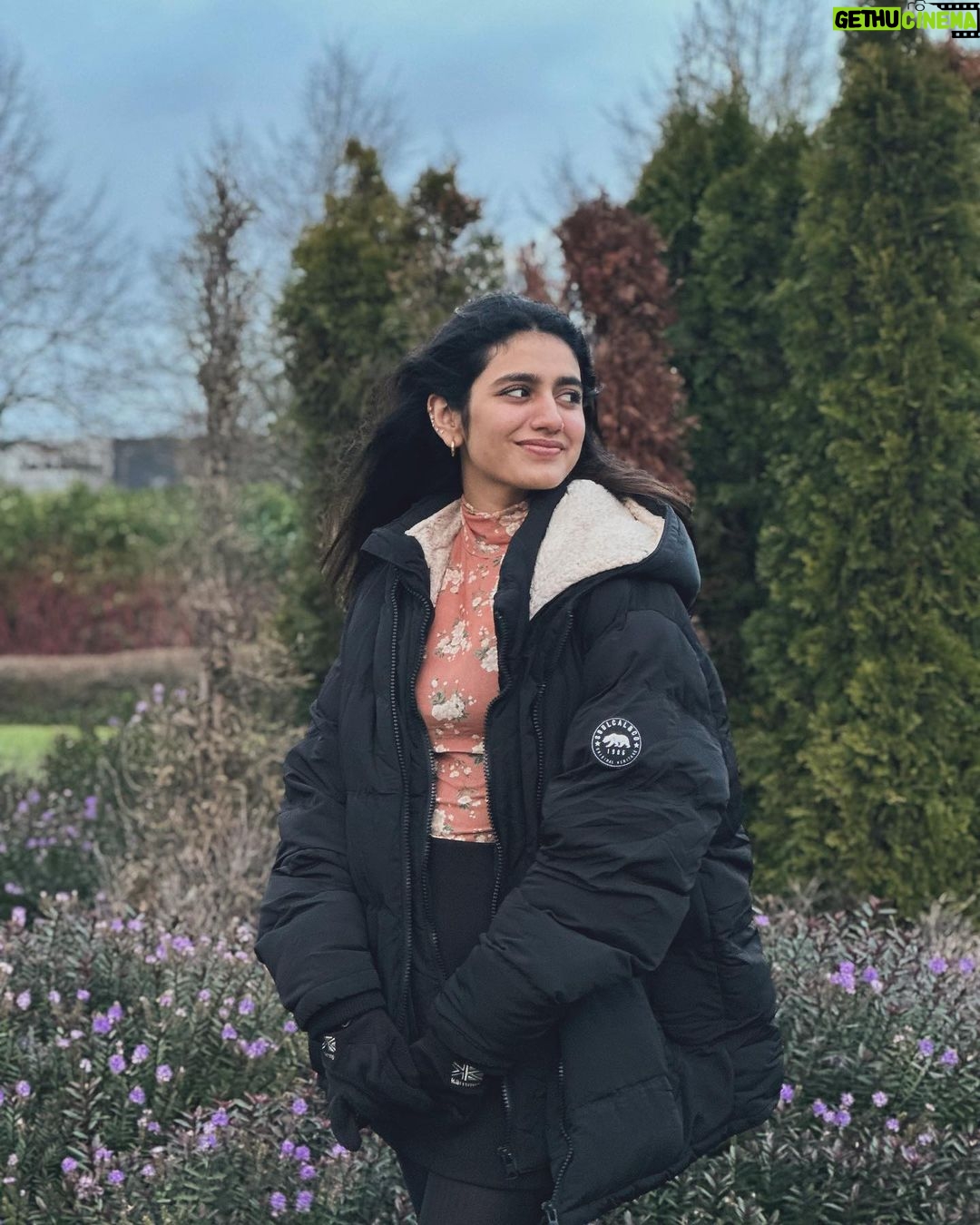 Priya Varrier Instagram - Your mind is a breathtakingly beautiful meadow!🌻