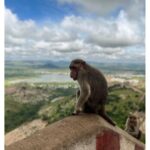 Priya Venkat Instagram - 🙏 #spirituality #love #yoganarasimha #hanuman Sholinghur Narasimha Hill Temple