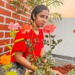 Priya Venkat Instagram - 🍀🌱🌳🪴💚 #love #spirituality #nature #plants #trees