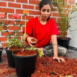 Priya Venkat Instagram - 🍀🌱🌳🪴💚 #love #spirituality #nature #plants #trees