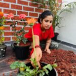 Priya Venkat Instagram - 🍀🌱🌳🪴💚 #love #spirituality #nature #plants #trees
