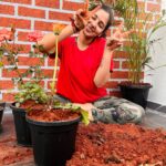 Priya Venkat Instagram - 🍀🌱🌳🪴💚 #love #spirituality #nature #plants #trees