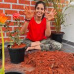 Priya Venkat Instagram - 🍀🌱🌳🪴💚 #love #spirituality #nature #plants #trees