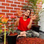Priya Venkat Instagram - 🍀🌱🌳🪴💚 #love #spirituality #nature #plants #trees