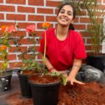 Priya Venkat Instagram - 🍀🌱🌳🪴💚 #love #spirituality #nature #plants #trees