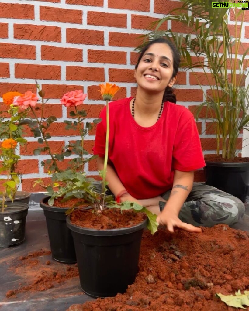 Priya Venkat Instagram - 🍀🌱🌳🪴💚 #love #spirituality #nature #plants #trees