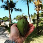 Pyotr Buslov Instagram - Иллюминатор не собрал!!😎Ладно, вот вам новая картинка!!! Чой-то за фрукт!? Кто знает, тот молчит😎🎥