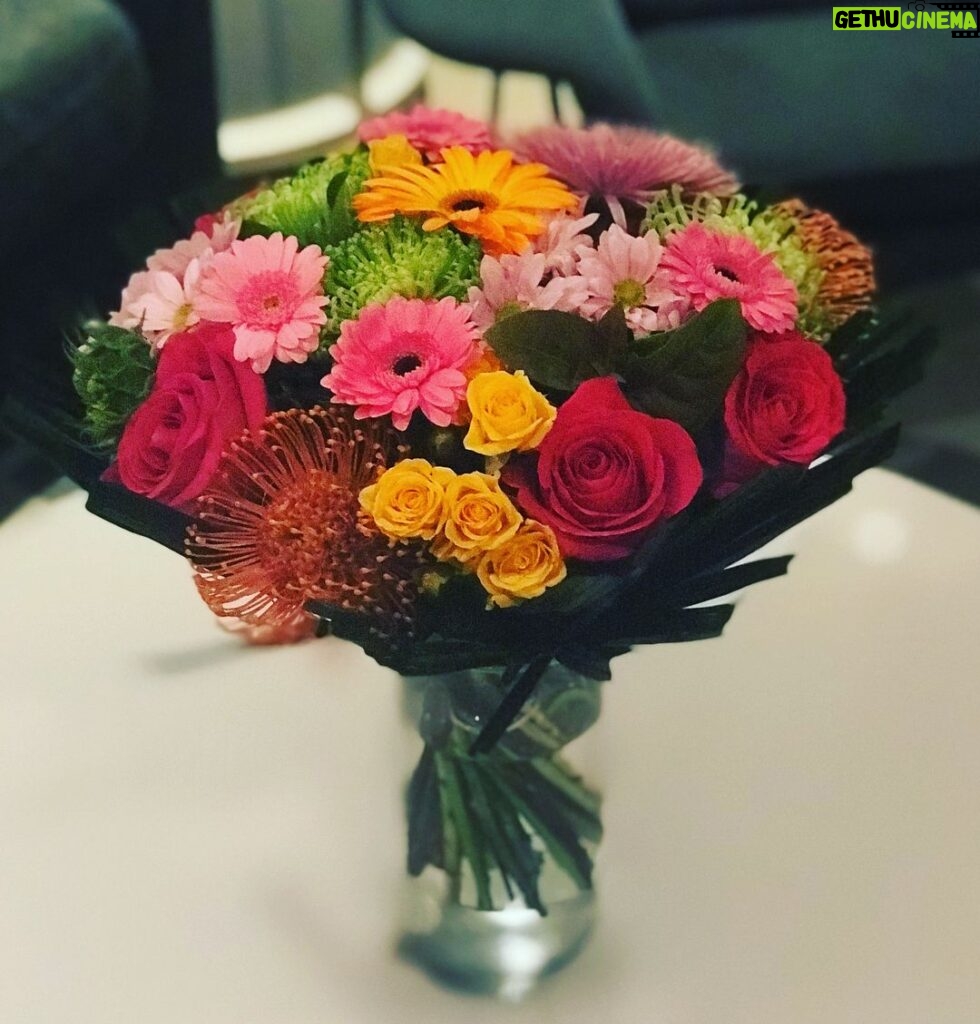 Q'orianka Kilcher Instagram - Nothing like coming back to your hotel after a long day of work to find a special delivery waiting for you❣😍 #australia