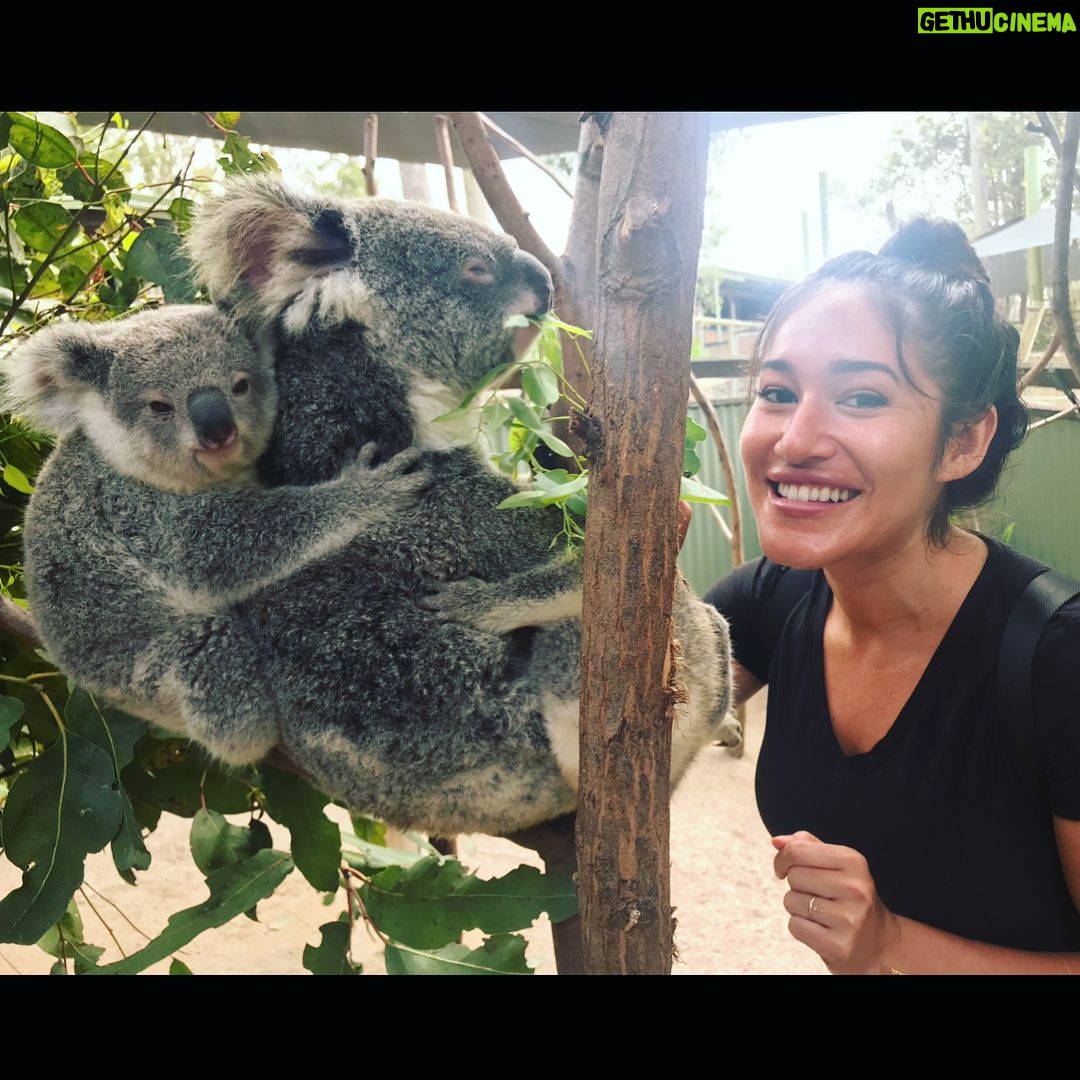 Q'orianka Kilcher - 2.4K Likes - Something magical happen today and is now officially ✅ off on my Bucket list! I got to hug it out with a a little Koala 💜🐨 Thank you so much to the lovely people at #paradisepark for making this happen! #australia #koala #doratheexplorer #thankful