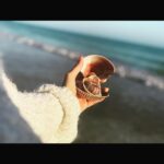 Q'orianka Kilcher Instagram - “Pain is the breaking of the shell that encloses your Understanding.” - Khalil Gibran #findthebeauty #overcome #bethelight #beherenow✨