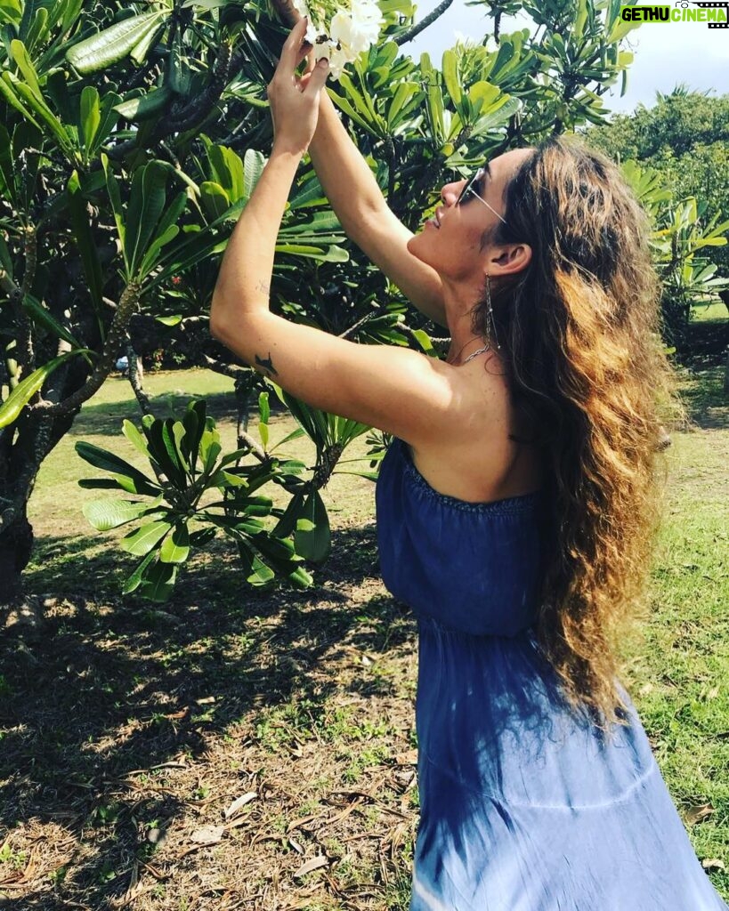 Q'orianka Kilcher Instagram - Flowers 🌺🙌🏼 #mexico Feels like Hawaii
