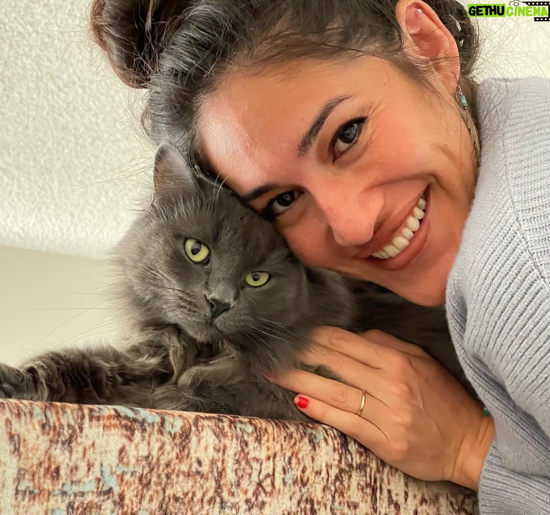 Q'orianka Kilcher - 2.6K Likes - Fur baby appreciation post! Because why not?!😸 “In ancient times cats were worshipped as gods; they have not forgotten this.” 👑😹#furbaby