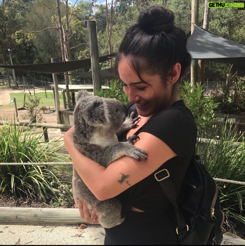 Q'orianka Kilcher Instagram - My heart goes out to all the people and animals who have been affected or lost their lives due to the fires in Australia💔Last year while filming @doramovie in Australia I had the pleasure of meeting this little Koala at a wild life rescue sanctuary. It breaks my heart to know that he and so many other little animals like him are dying in the fires right now. Ecologists say half a Billion Animals May have already been killed by the wildfires...Entire species are being wiped out... Please see second picture with links to support the local state fire services 🐨♥ 🙏🏽💔#bushfiresaustralia #australia