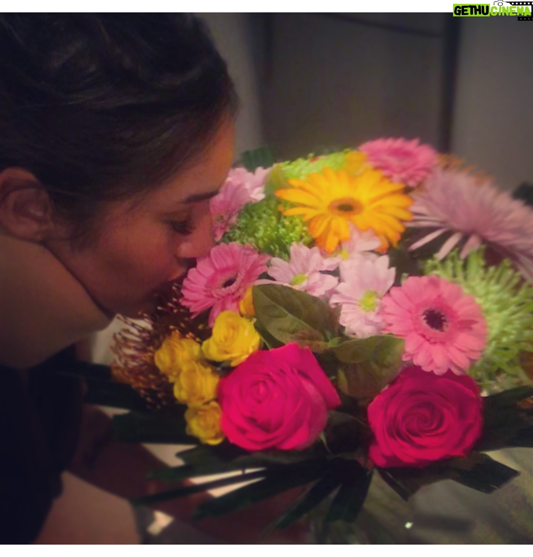 Q'orianka Kilcher Instagram - Nothing like coming back to your hotel after a long day of work to find a special delivery waiting for you❣️😍 #australia