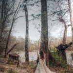 Q’orianka Kilcher Instagram – βThe earth has music for those who listenβ William Shakespeare
Thank you to the amazing artist and photographer @davidpaulart for this shoot! π·π€ #natur #trees #photoshoot #bliss #williamshakespeare