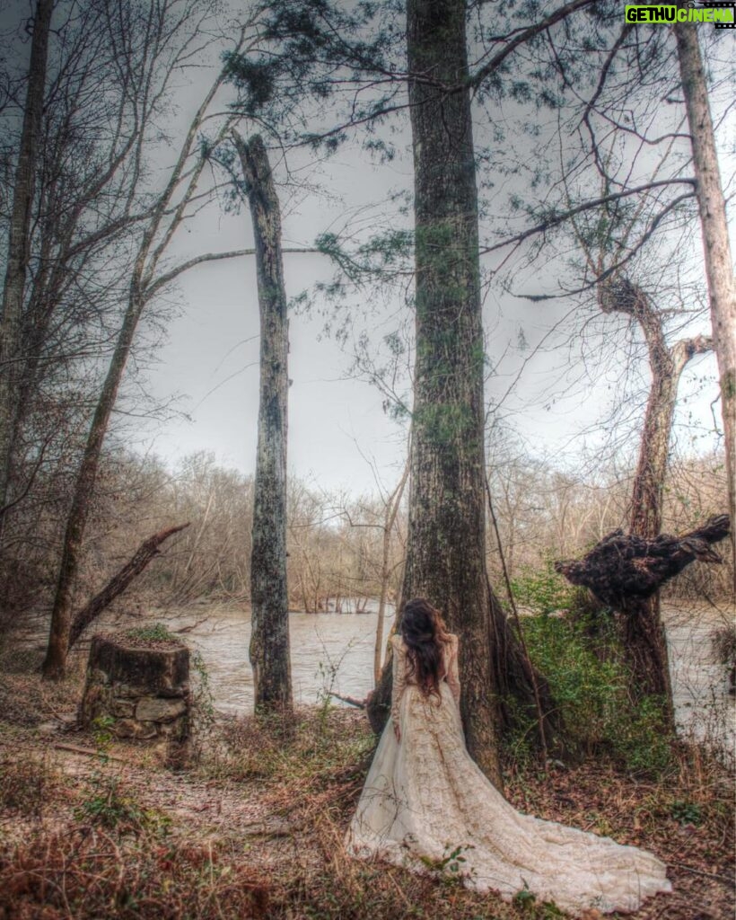 Q'orianka Kilcher Instagram - “The earth has music for those who listen” William Shakespeare Thank you to the amazing artist and photographer @davidpaulart for this shoot! 📷🖤 #natur #trees #photoshoot #bliss #williamshakespeare