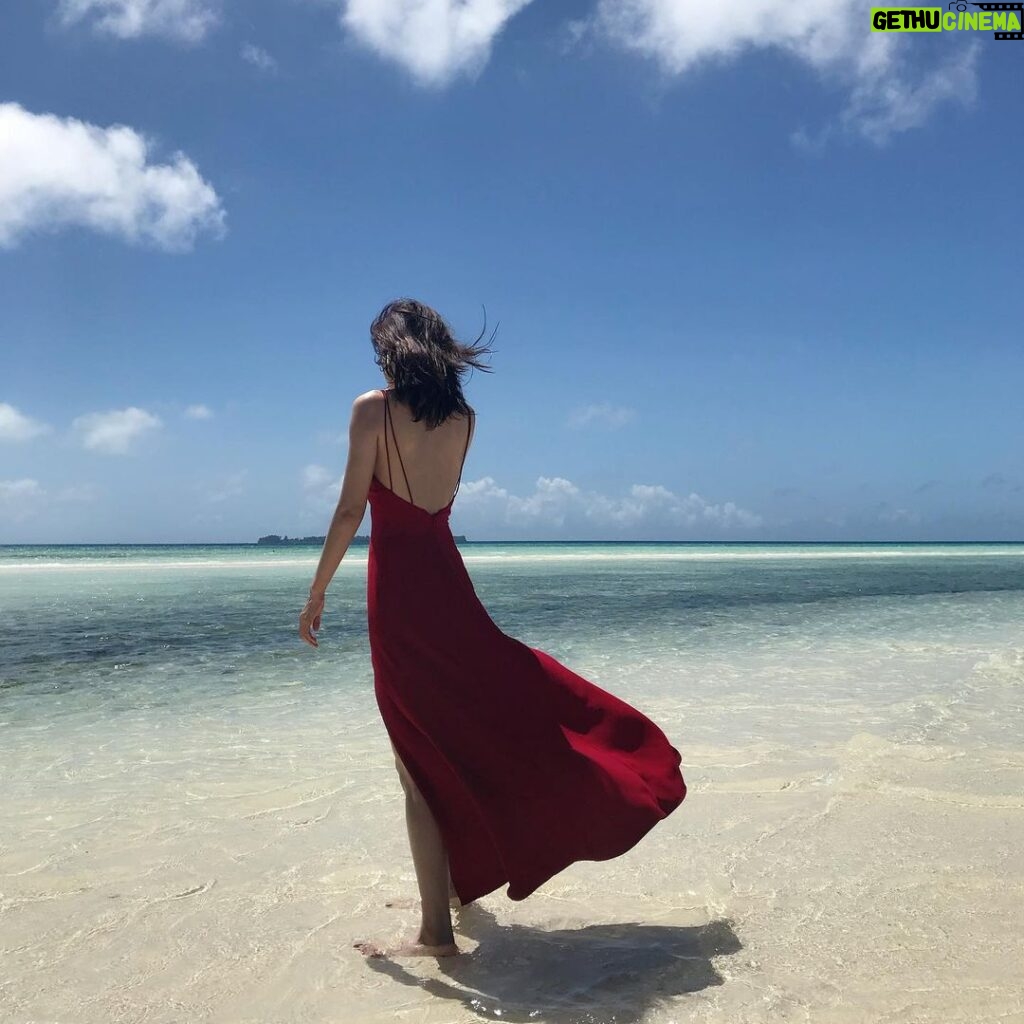 Qin Lan Instagram - 怀念 旅行 的海❤️🌹