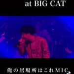 RAY Instagram – レイシング RELEASE TOUR FINAL
at BIG CAT

「NIGHT PLAYER」

#SINGER_RAY #REGGAE
#レゲエ #BIGCAT