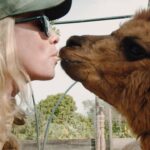 Róisín Murphy Instagram - I made a film, part Q&A part travel log! YOU sent me questions and I answered them in some of my favourite places in Ibiza! IS THIS BALEARIC? ASKING FOR A FRIEND will be premiered TOMORROW 3pm BST / 4pm CEST. I’ll be there in the LIVE chat, please join me! LINK IN BIO! 🎥 @willbur_force 🦙 @escurralsalpacasibiza #ibiza #roisinmurphydirects #electronicmusic #newmusic #ibiza #electronicmusic #newmusic #songofthesummer