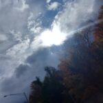 RJ Mitte Instagram – Hope everyone had a great Halloween and a safe weekend  here’s a few pic of my week Charlotte, North Carolina