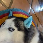 RJ Mitte Instagram –