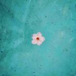 RJ Mitte Instagram -