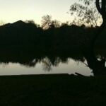 RJ Mitte Instagram -