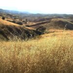 RJ Mitte Instagram - Calabasas, California