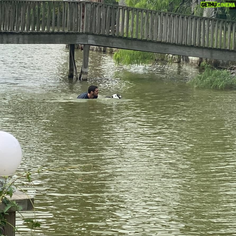 RJ Mitte Instagram - Our dog Mister went for a swim today btw he doesn't like water he fell in