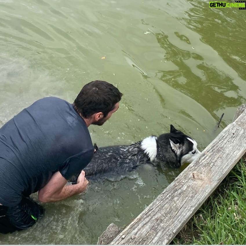 RJ Mitte Instagram - Our dog Mister went for a swim today btw he doesn't like water he fell in