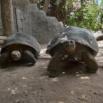 RJ Mitte Instagram - Gladys Porter Zoo