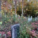 RJ Mitte Instagram – Hope everyone had a great Halloween and a safe weekend  here’s a few pic of my week Charlotte, North Carolina