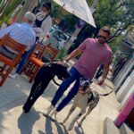 Raúl Coronado Instagram - Excelente tarde. #walk #happy #bongh #marley #goodvibes #laroma #marketeatro @marrushka @marketeatroroma